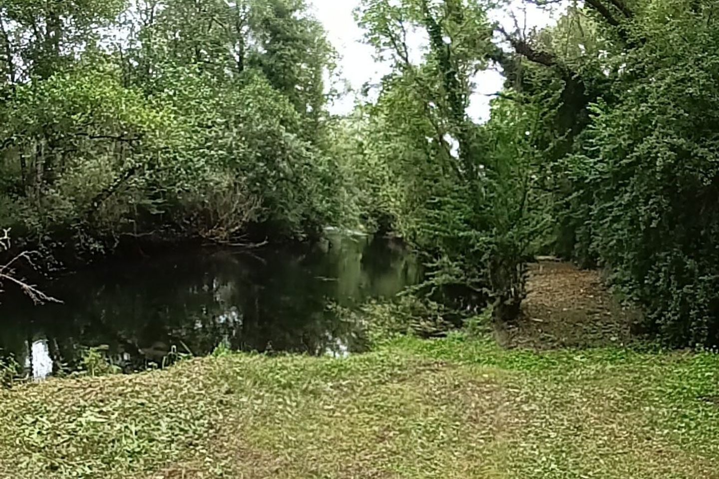 Awbeg House, Doonawanly, Castletownroche, Co. Cork, P51D368 27