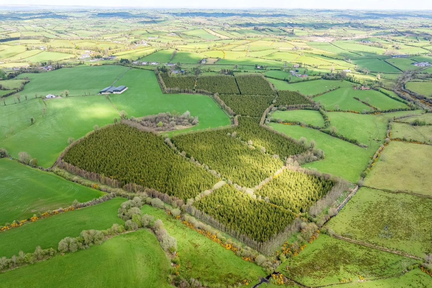 Maghernaharney,, Rockcorry,, Co. Monaghan, H18EY02 3
