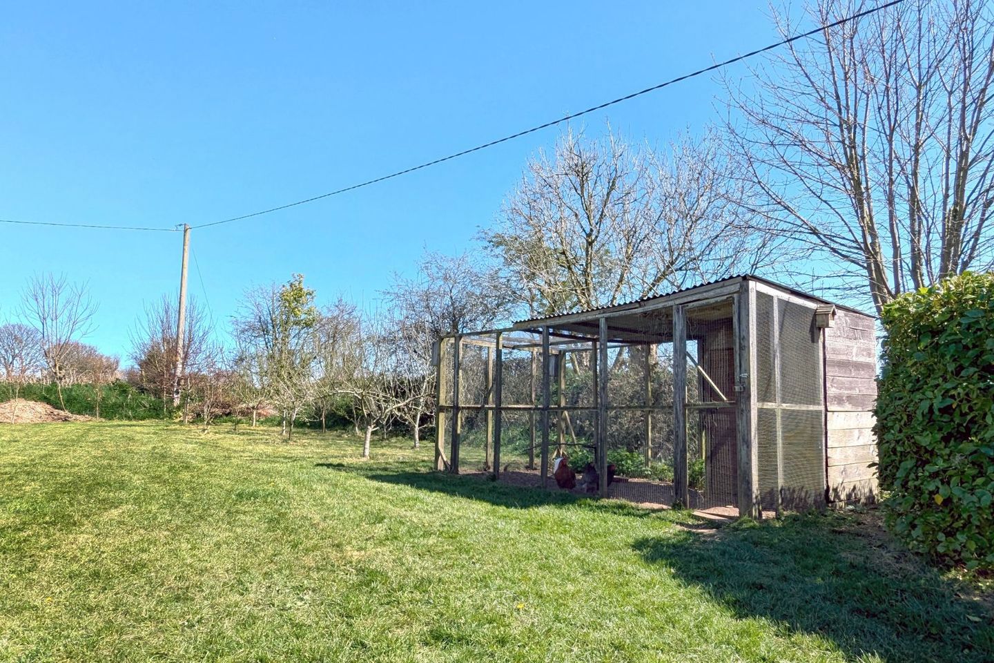 Oak Tree Cottage, Shielbaggan, Ramsgrange, Ramsgrange, Co. Wexford, Y34Y320 14