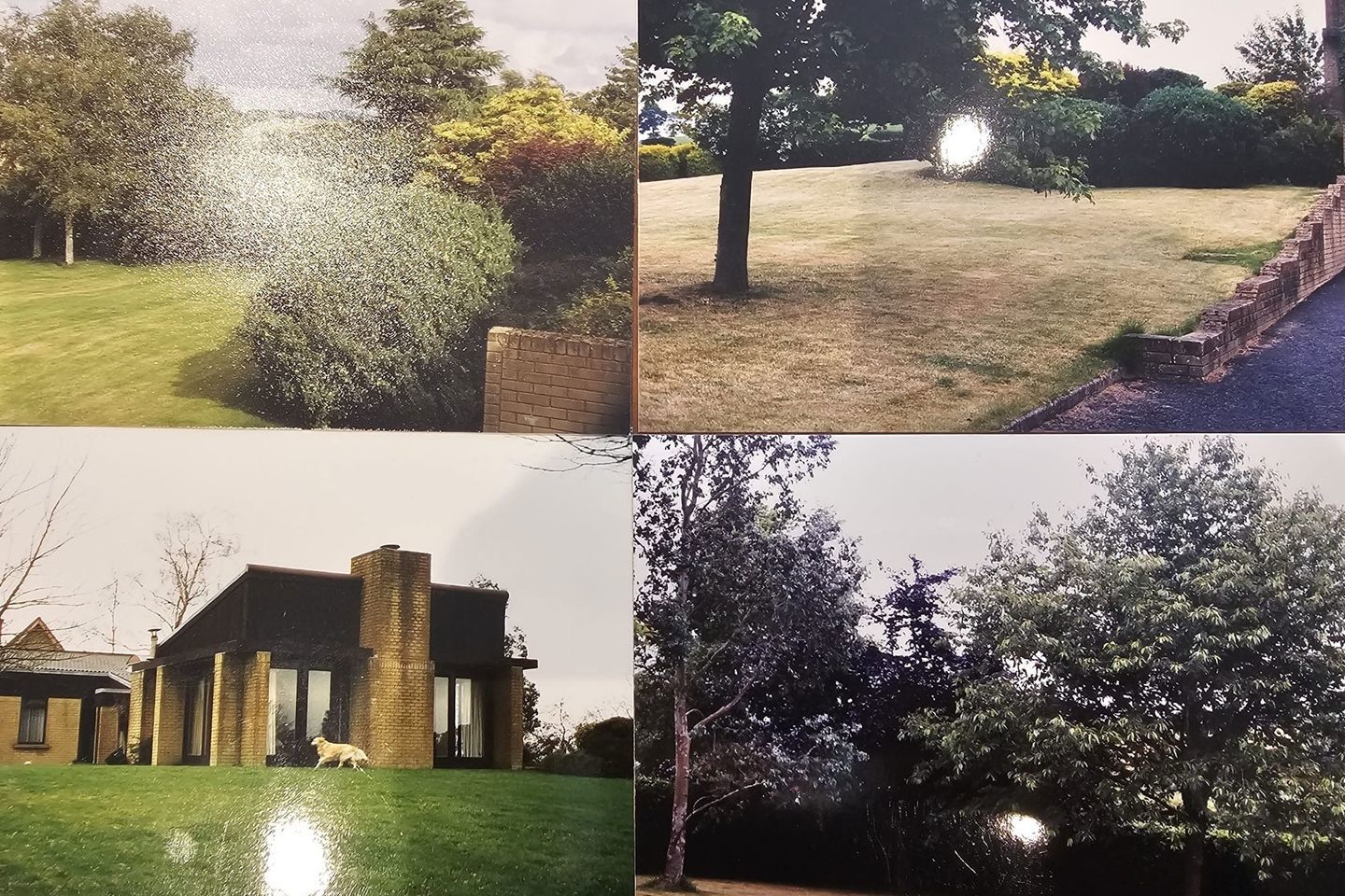 Eureka, Shillelagh Road, Tullow, Co. Carlow, R93F430 3
