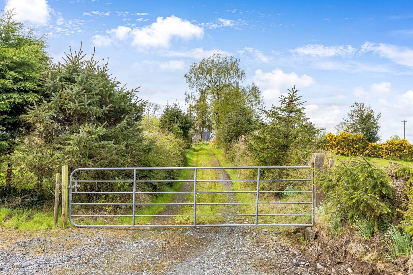 Maghernaharney,, Rockcorry,, Co. Monaghan, H18EY02 14
