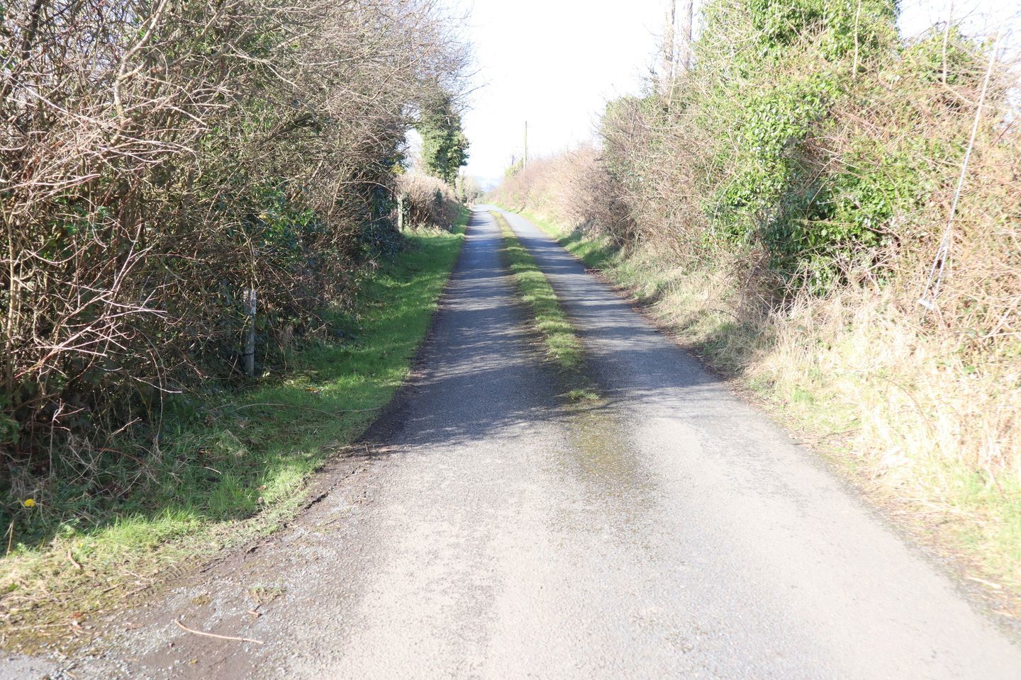 Meath Hill, Drumconrath, Drumconrath, Co. Meath, C15K2W9 29