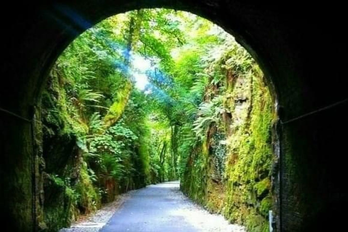 Silent Hill, Adramone, Lemybrien, Co. Waterford, X42HE27