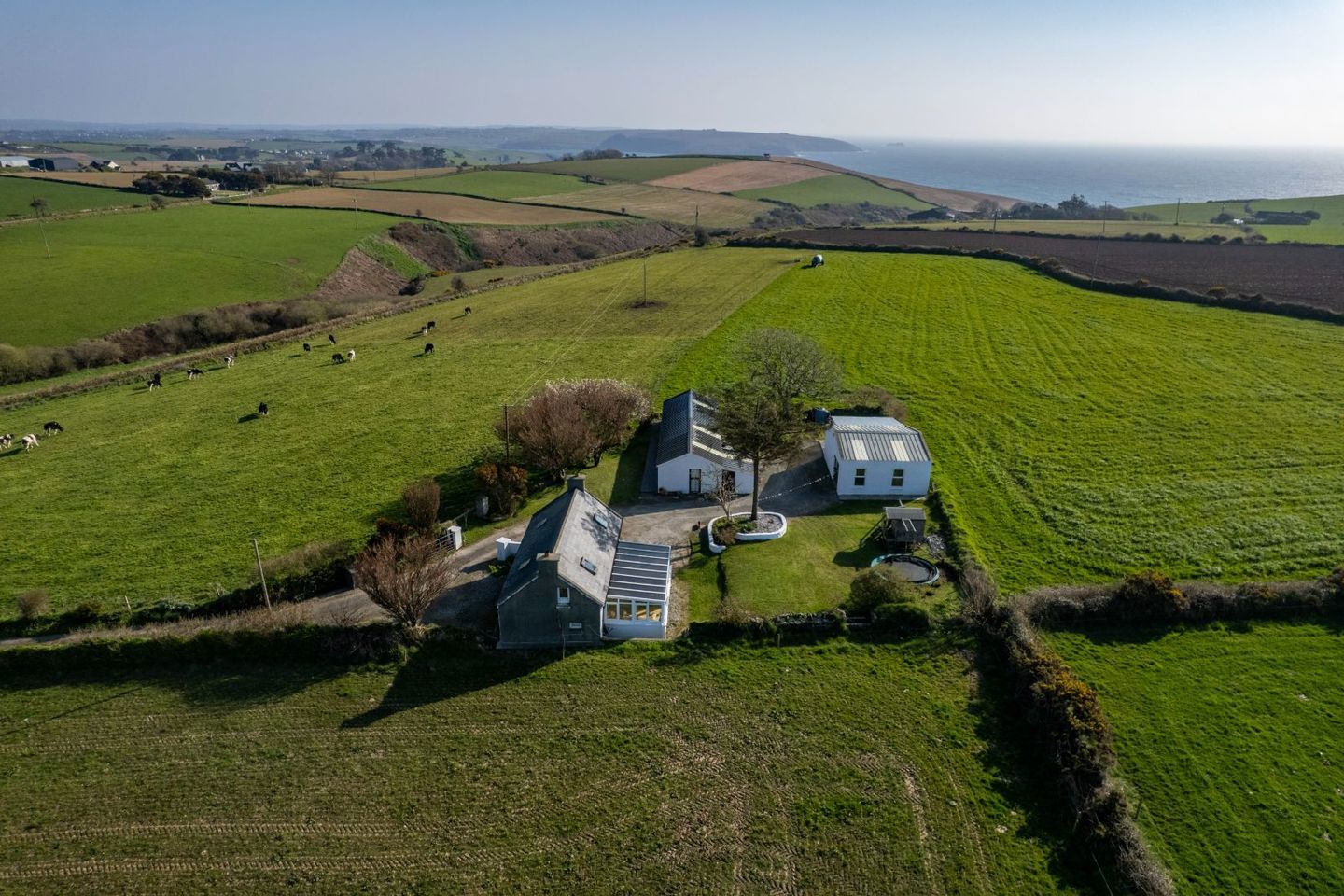 Dooneen Upper, Old Head, Kinsale, Co. Cork, P17A588 16