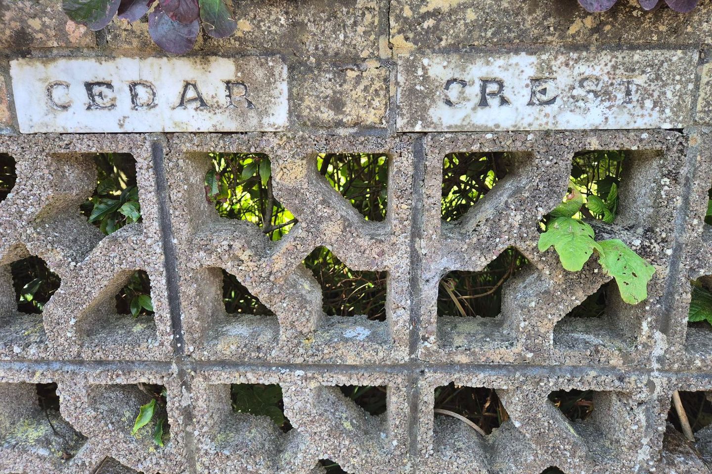 Cedar Crest, Raheen, Carrigrohane, Co. Cork, T12YX2X 11