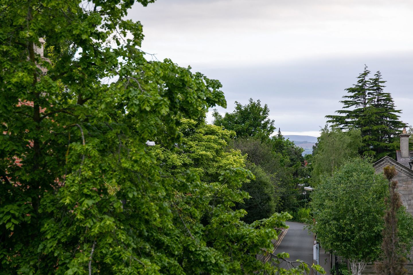 109 Marlborough Road, Donnybrook, Dublin 4, D04V9T4 20