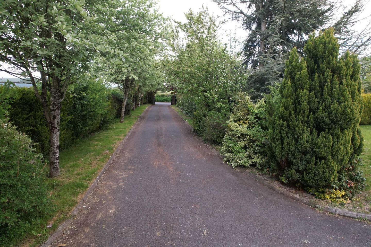 Oldtown, Abbeyleix, Co. Laois, R32C4H5 10
