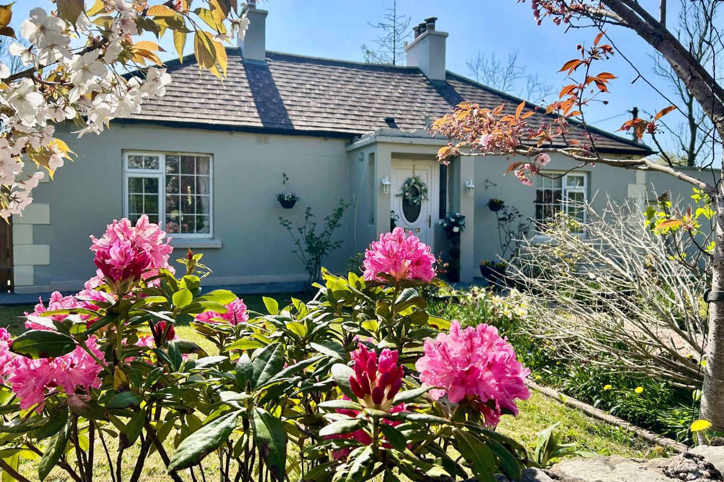 Corbally, Carrick-on-Shannon, Co. Leitrim, N41A383