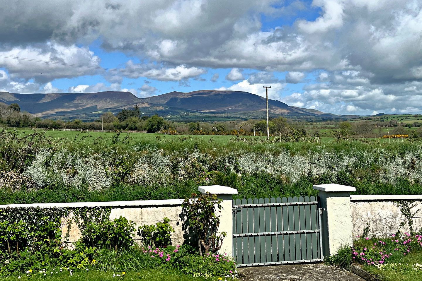 Silent Hill, Adramone, Lemybrien, Co. Waterford, X42HE27