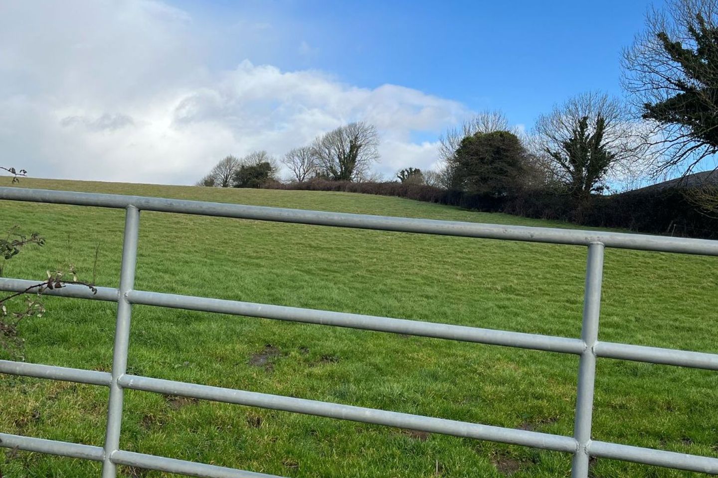 Templemichael, Caherconlish, Boher, Co. Limerick, V94HFW1 4