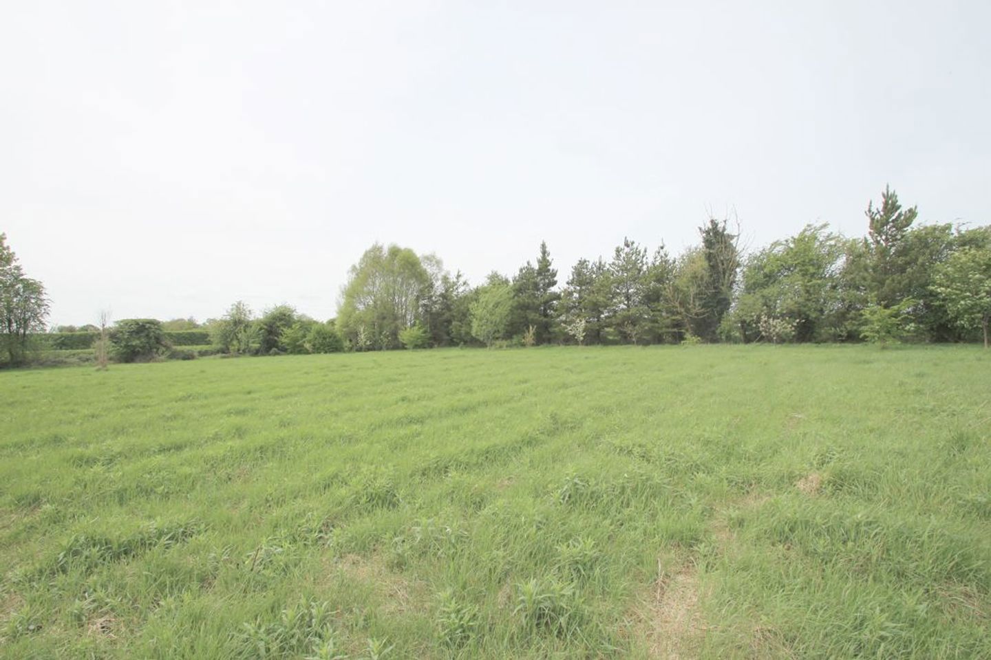BARONY HOUSE, Barony House, Tullamore, Co. Offaly, R35H7T2 22