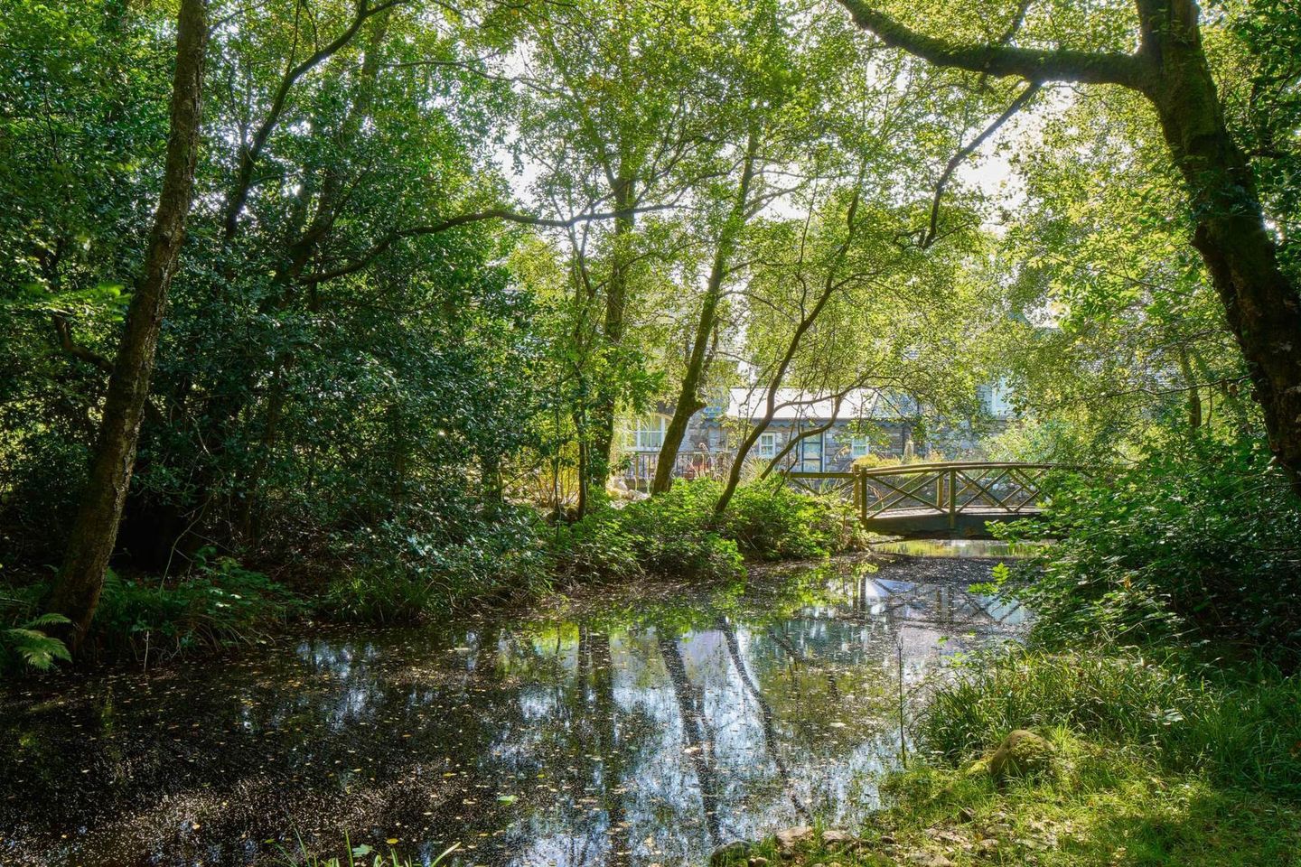 Sterne`s Mill, Annamoe, Co. Wicklow, A98TK63 41