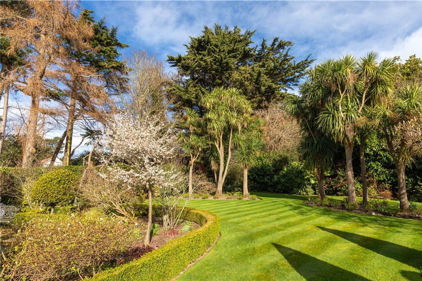 Torry Brighton Road Foxrock Dublin 18, Foxrock, Dublin 18, D18Y9K6 15