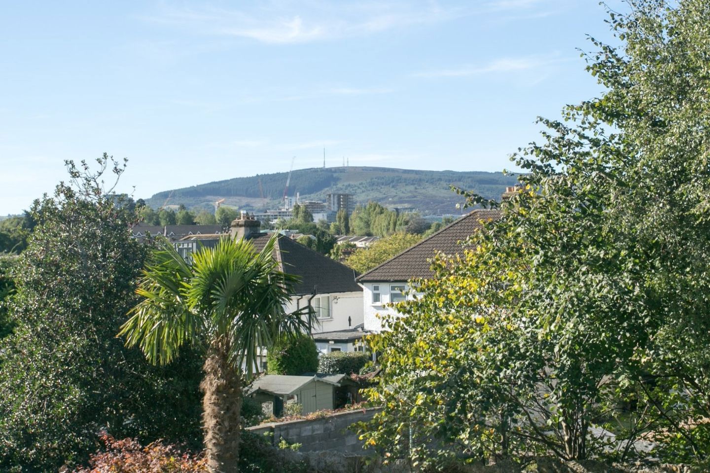 50 Cherrygarth, Mount Merrion, Co. Dublin, A94H3A8 19