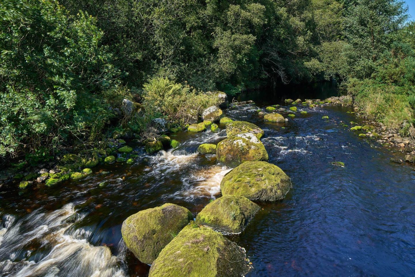 Sterne`s Mill, Annamoe, Co. Wicklow, A98TK63 36