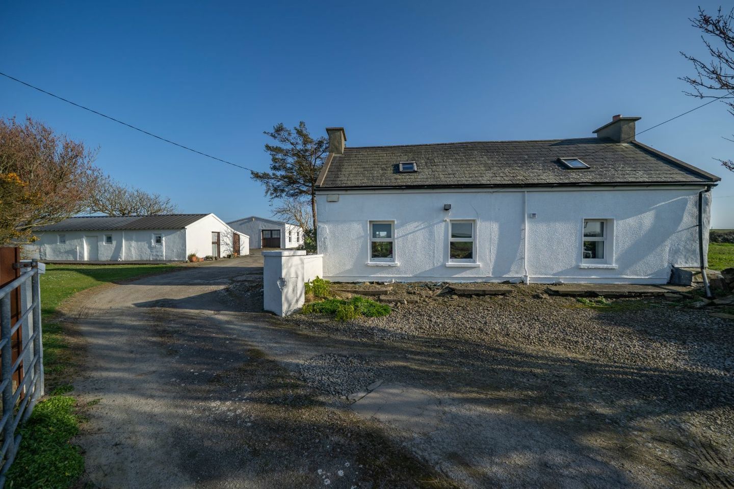 Dooneen Upper, Old Head, Kinsale, Co. Cork, P17A588 2