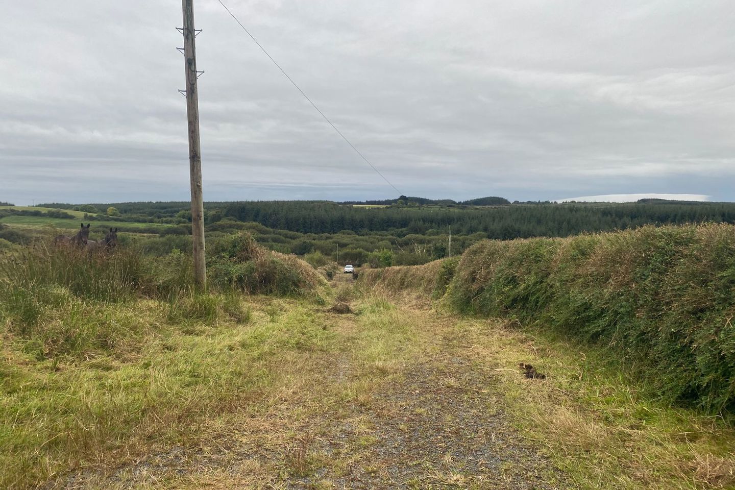 Knocknagraigue, Corofin, Ennis, Corofin, Co. Clare, V95CK70 7