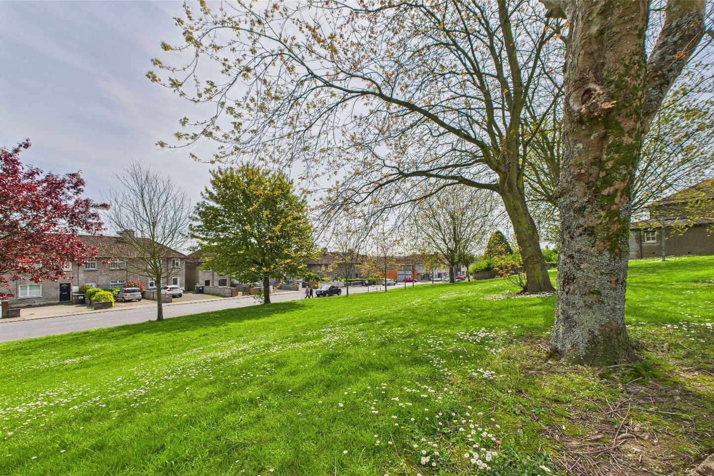 70 Roanmore Park, Waterford, Waterford City Centre, X91YN5K