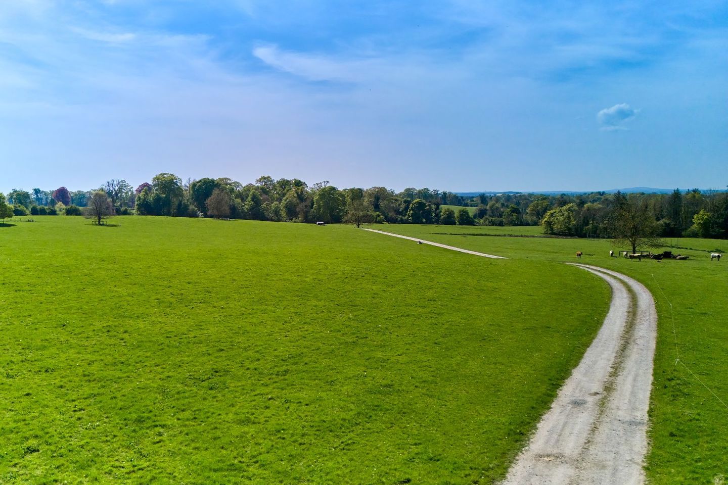 Mountainstown House, Navan, Co. Meath, C15C938 23