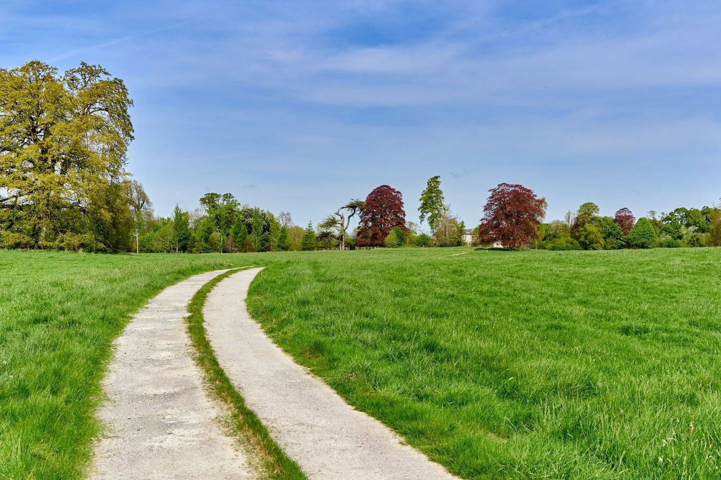 Mountainstown House, Navan, Co. Meath, C15C938 12