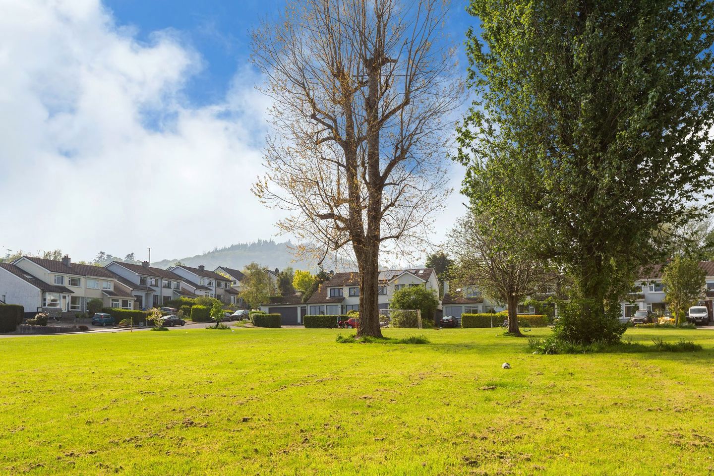 171 Applewood Heights, Greystones, Delgany, Co. Wicklow, A63Y009 10