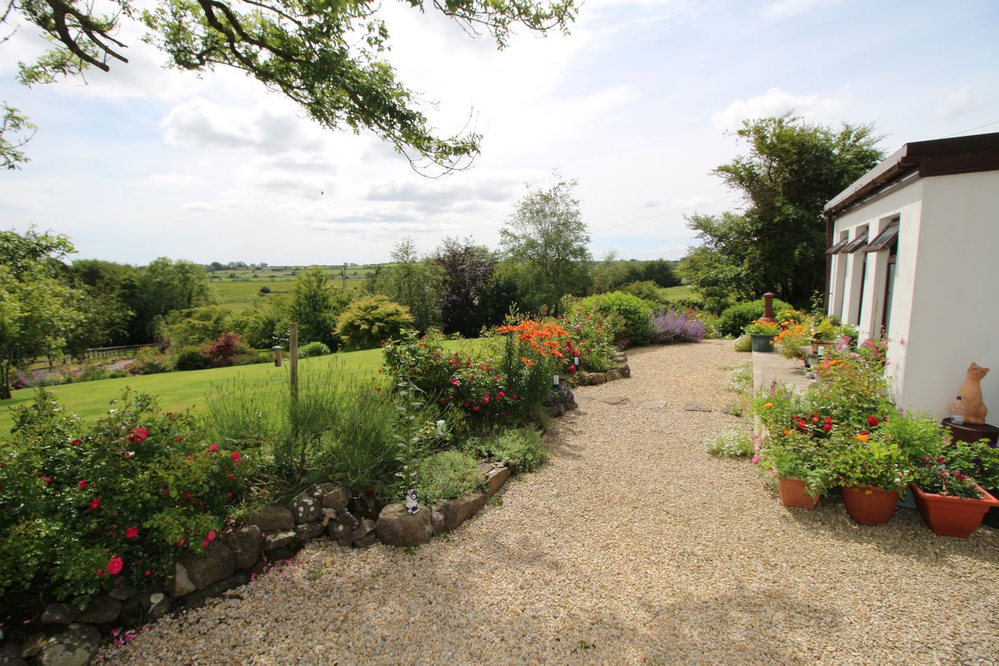 Lehid, Milltown, Co. Galway, H54W654 21