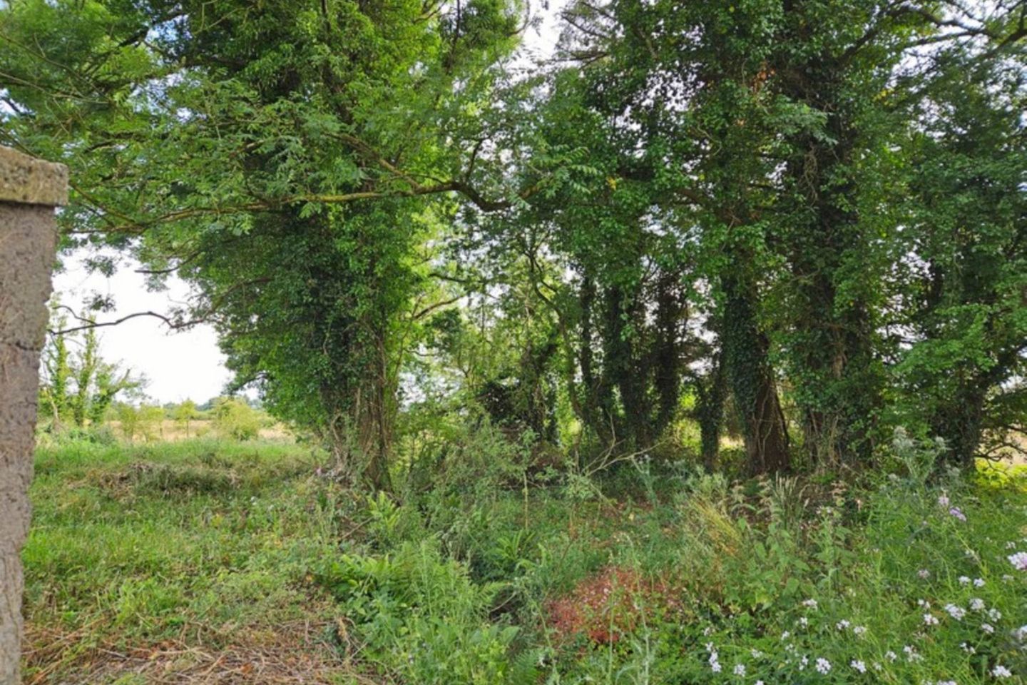 Barna, Glenamaddy, Co. Galway, F45PW29 14
