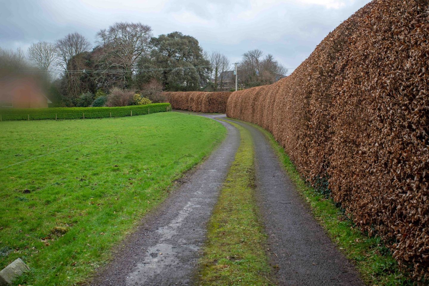 Belmont House, Ballyard, Tralee, Co. Kerry, Tralee, Co. Kerry, V92TYE6 19