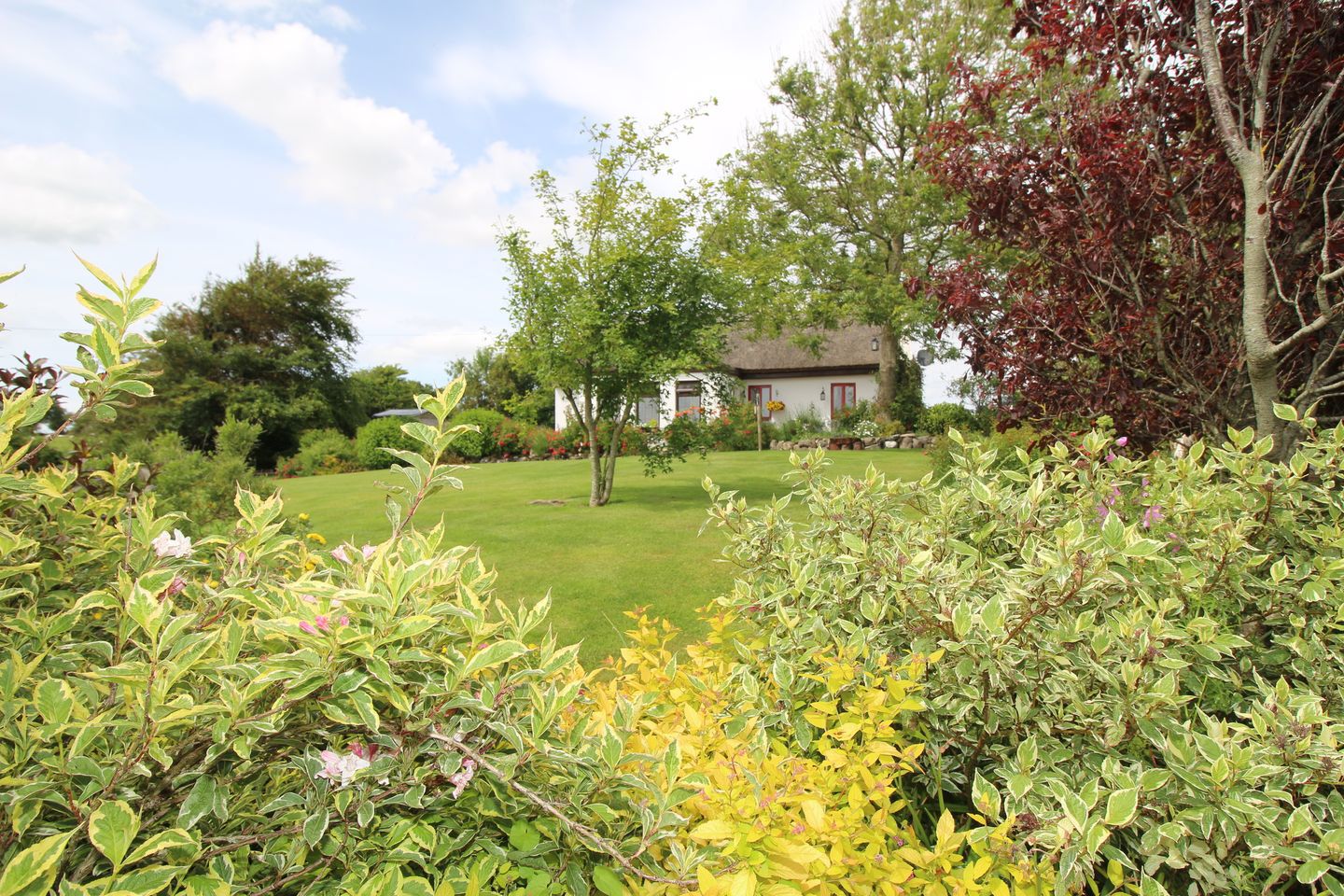 Lehid, Milltown, Co. Galway, H54W654 32