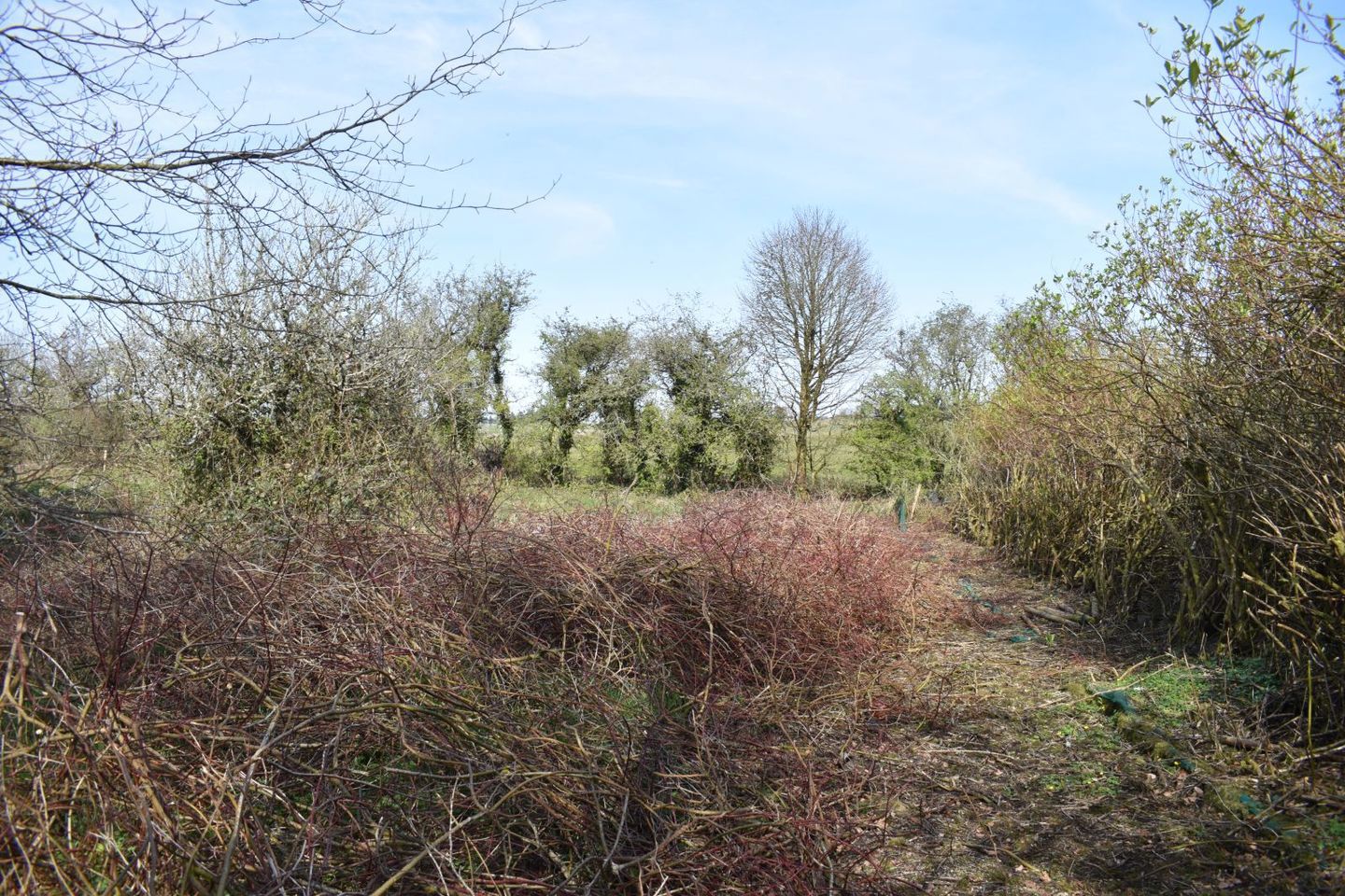 Killaraght, Boyle, Co. Sligo, F52R223