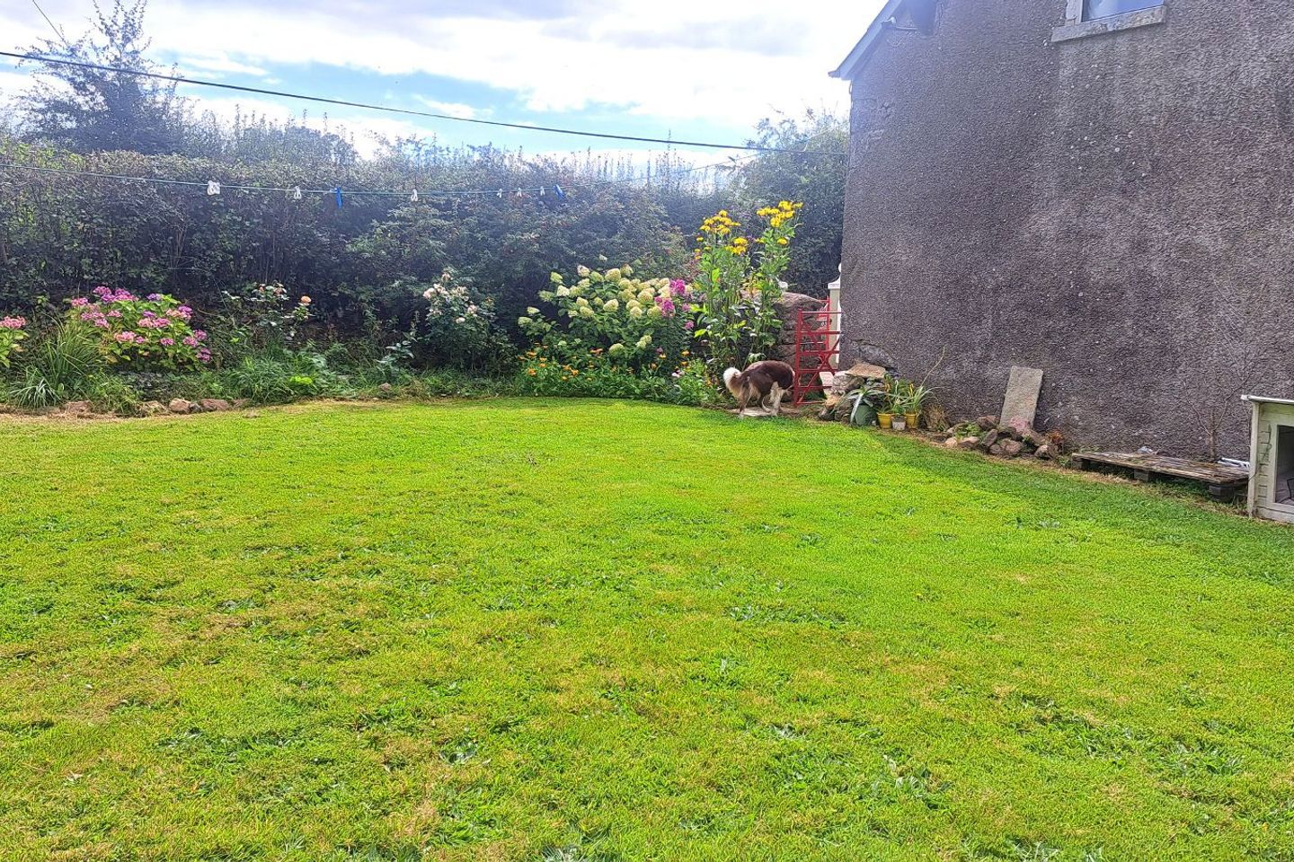 Derryvillane, Glanworth, Rockmills, Co. Cork, P51V1KK 2
