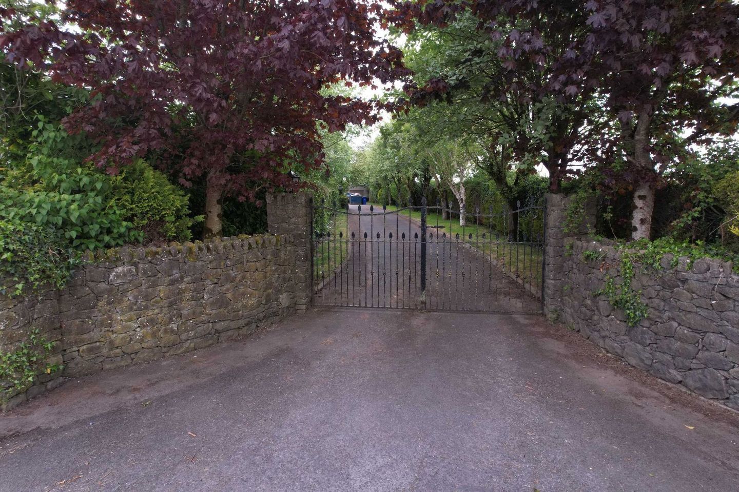 Oldtown, Abbeyleix, Co. Laois, R32C4H5 13