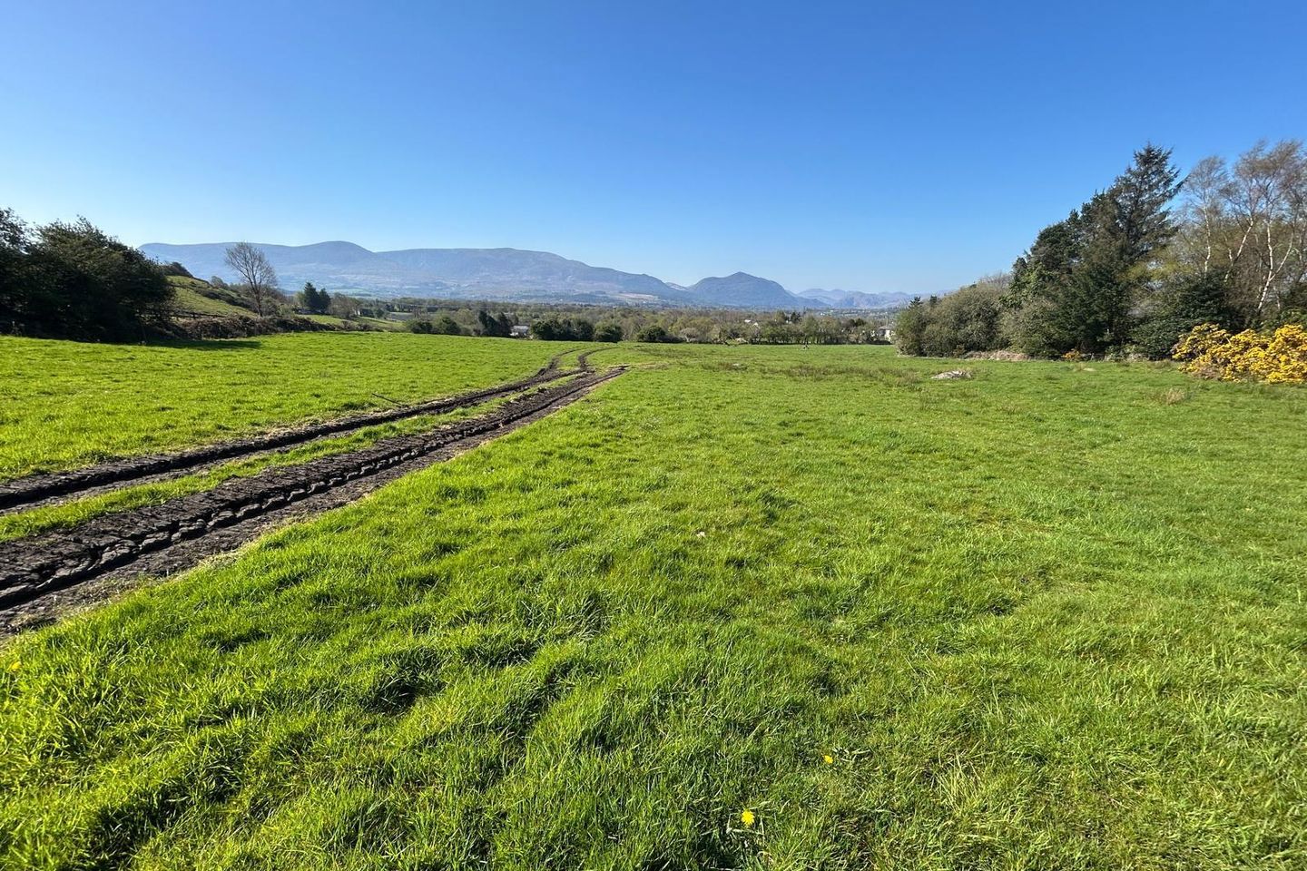 Residential Farm, Ardaneanig, Killarney, Co. Kerry, V93E6W0 15