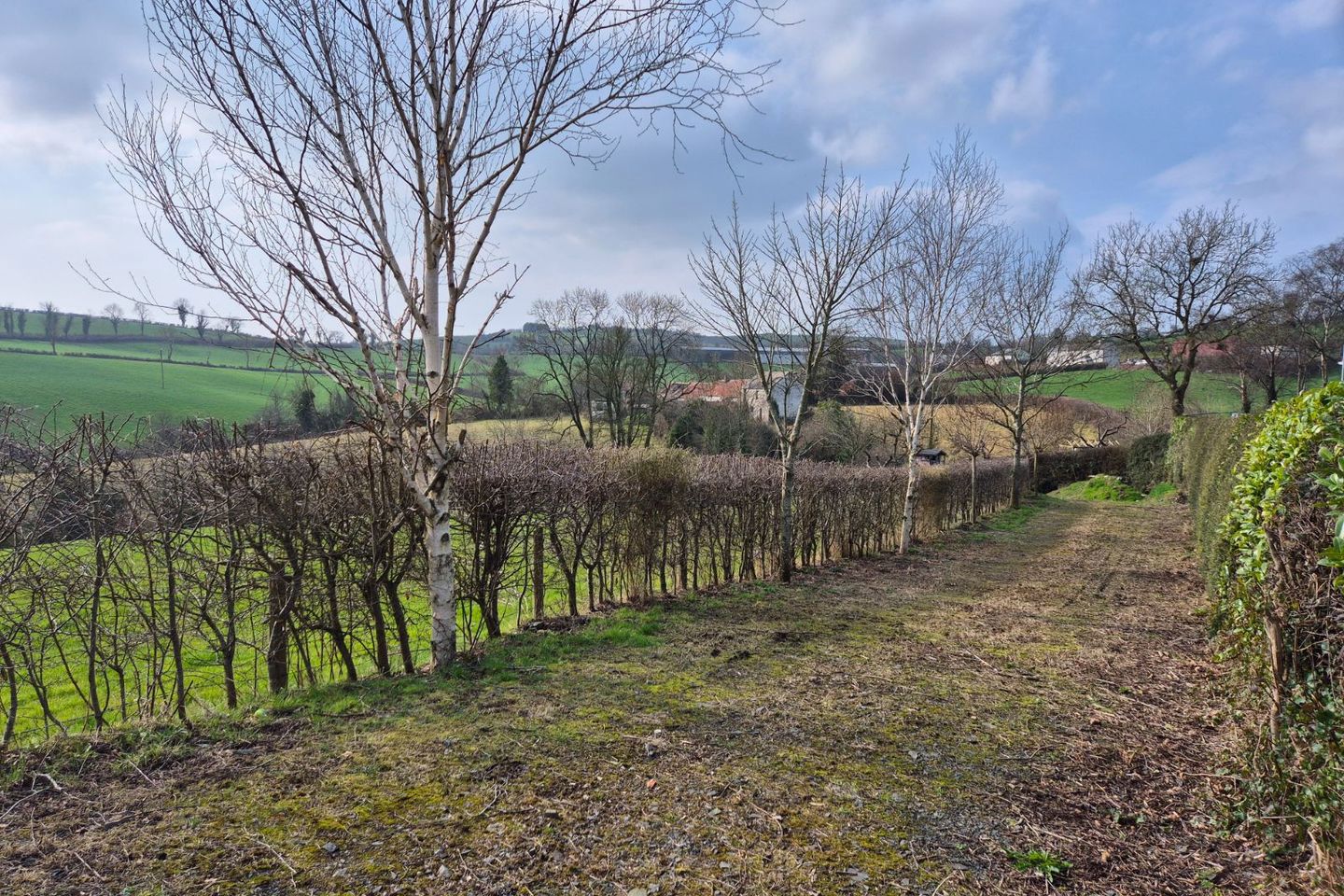 lisnaclea, carrickmacross, monaghan 9
