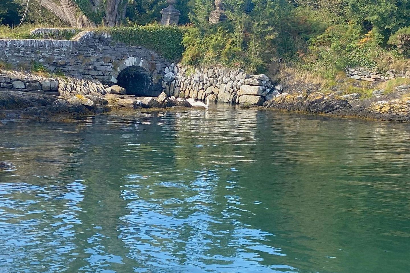 Kilbronogue, Schull, Co. Cork, P81XT65 29