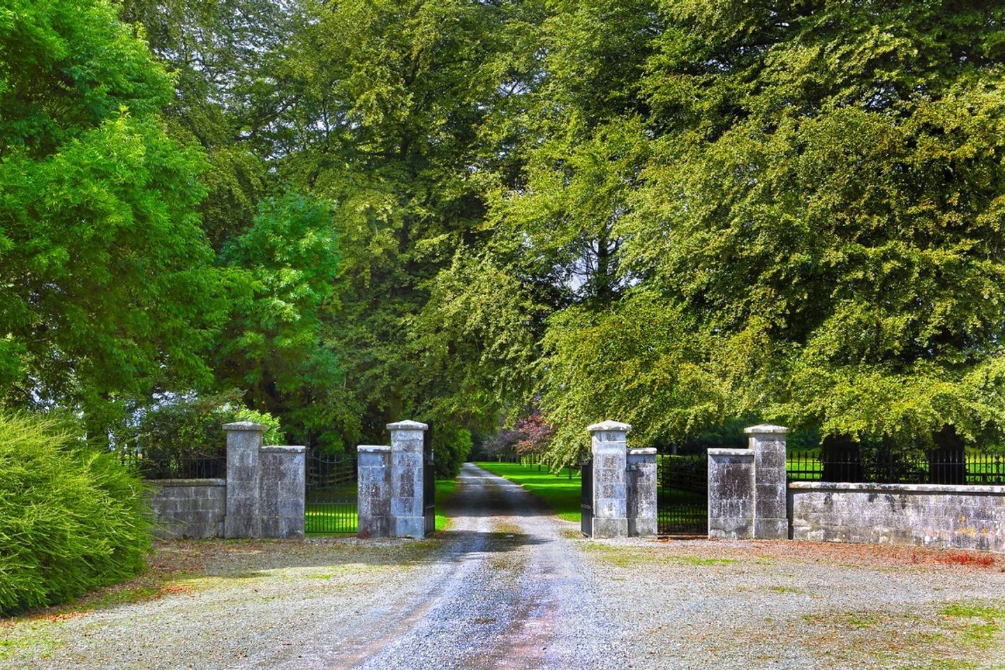 Belleview House, Coolbawn, Nenagh, Co. Tipperary, E45HH57 3