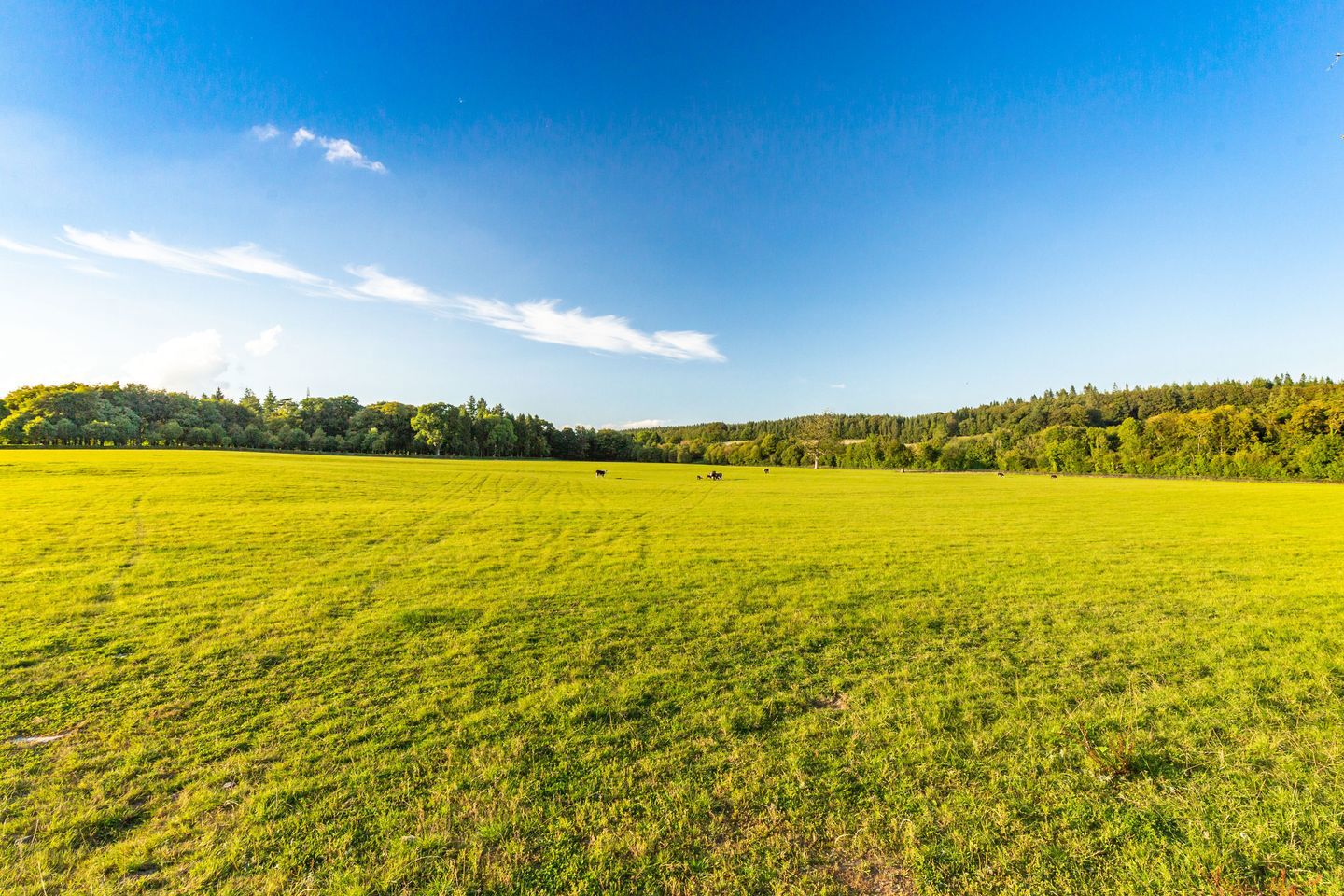 Clonhugh Lodge, Clonhugh, Multyfarnham, Co. Westmeath, N91K2P3 38