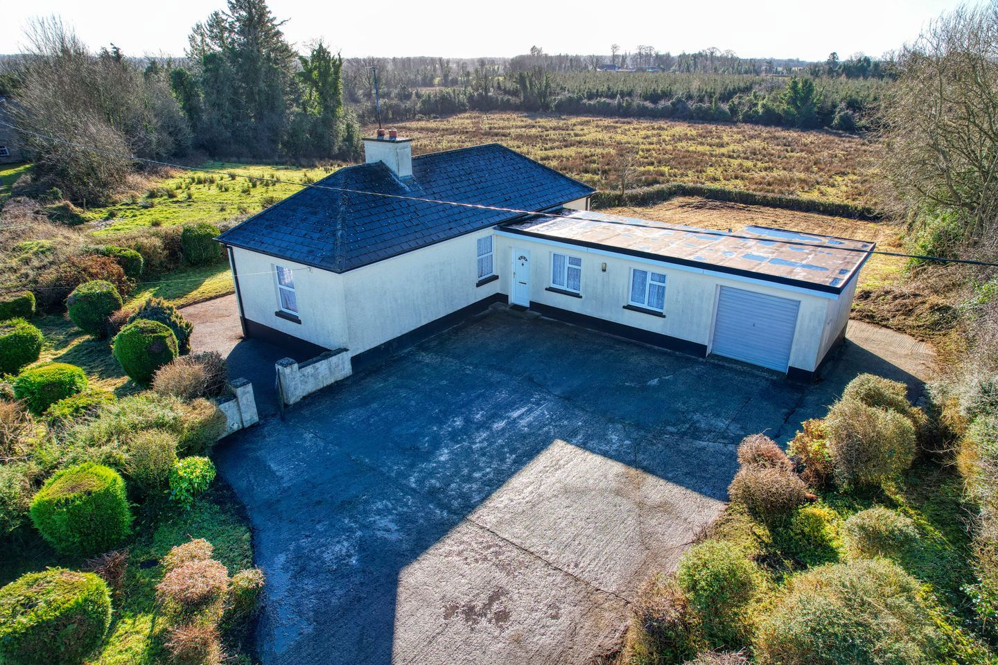 Rhine, Killoe, Co. Longford, N39T189