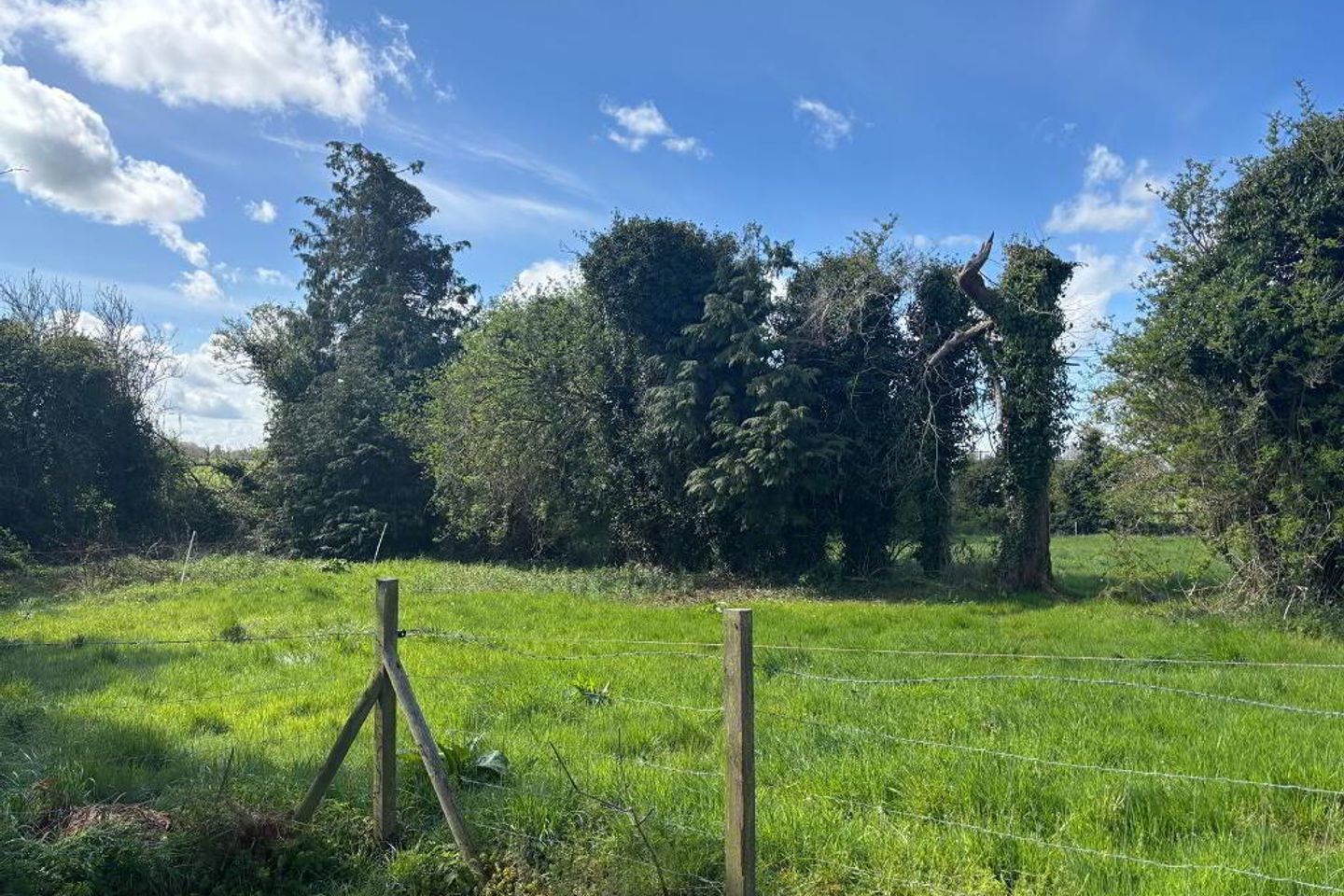 Killua, Clonmellon, Navan, Co. Meath, C15RY83