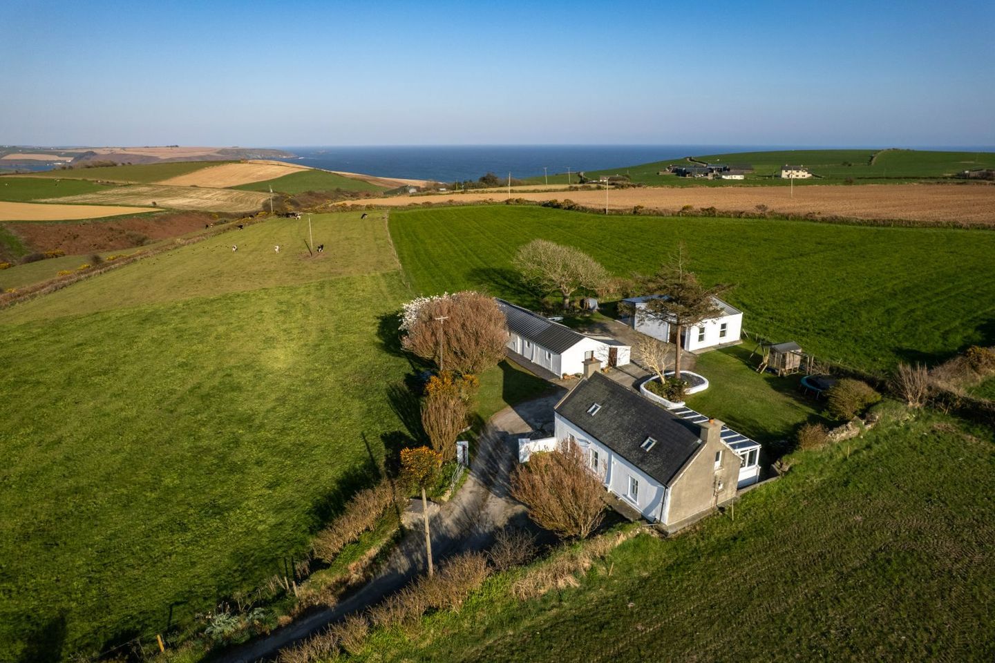 Dooneen Upper, Old Head, Kinsale, Co. Cork, P17A588 8