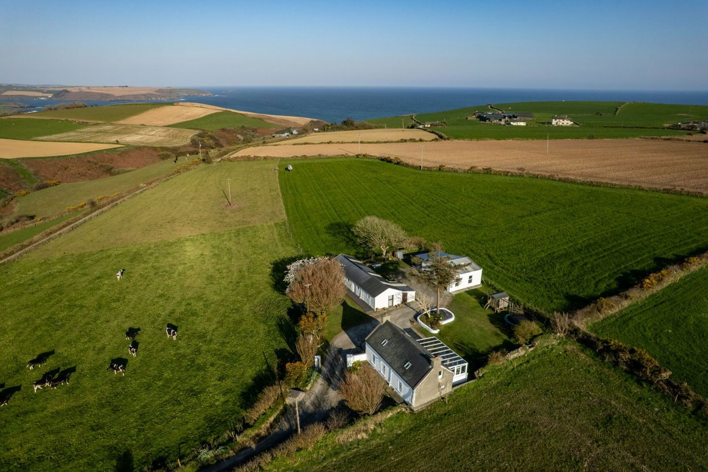 Dooneen Upper, Old Head, Kinsale, Co. Cork, P17A588 26