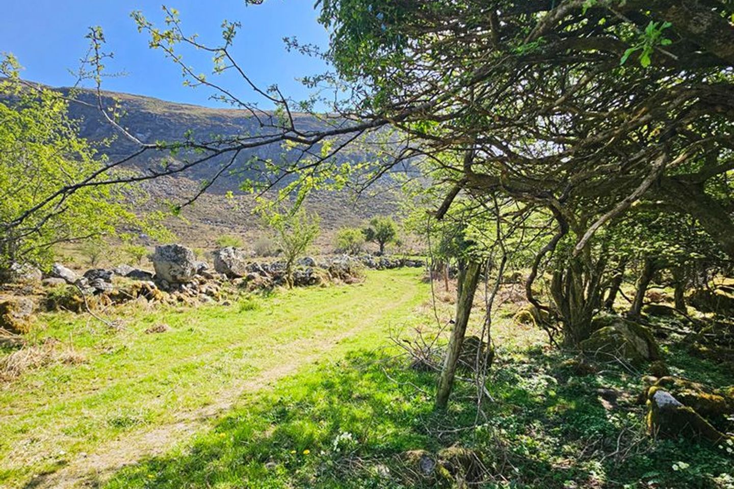 Rooskey, Foxford, Attymass, Co. Mayo, F26AY06