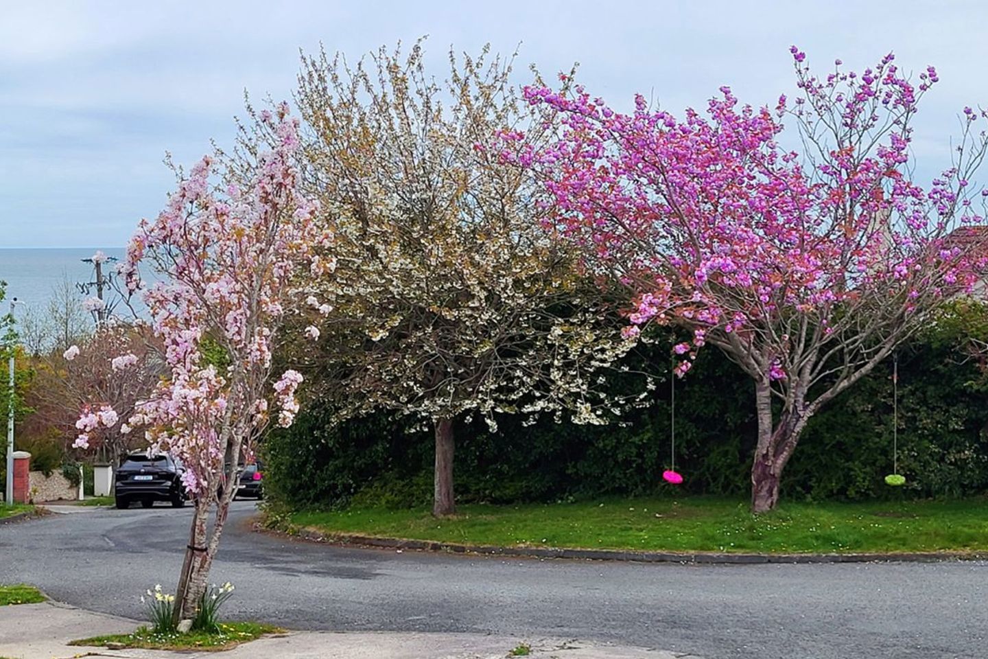 7 Weston Close, Wicklow, Wicklow Town, Co. Wicklow, A67VW58 18