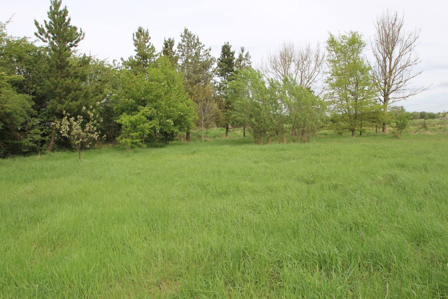 BARONY HOUSE, Barony House, Tullamore, Co. Offaly, R35H7T2 47