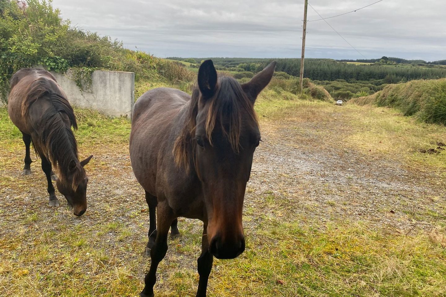 Knocknagraigue, Corofin, Ennis, Corofin, Co. Clare, V95CK70 19