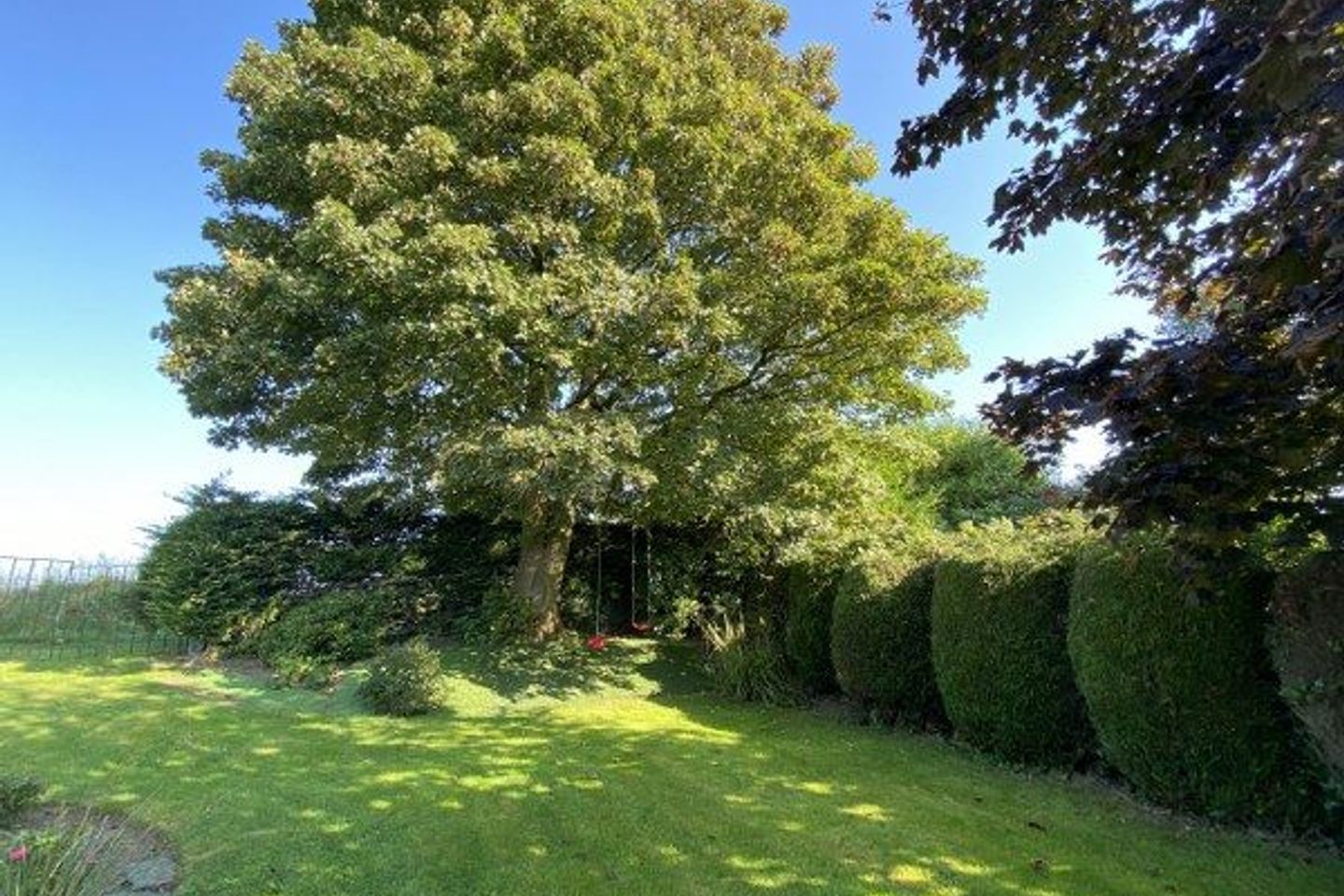 6 Main Street, Carnew, Carnew, Co. Wicklow, Y14N1N8 9