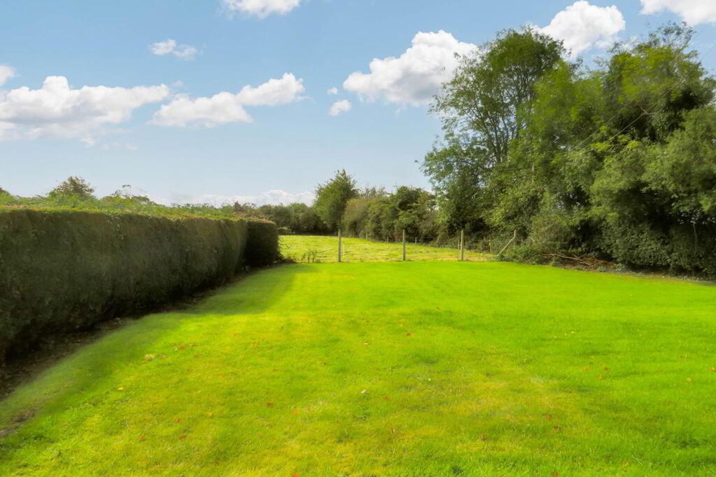 Knockardbane, Liscarroll, Mallow, Co. Cork, P51E2C2