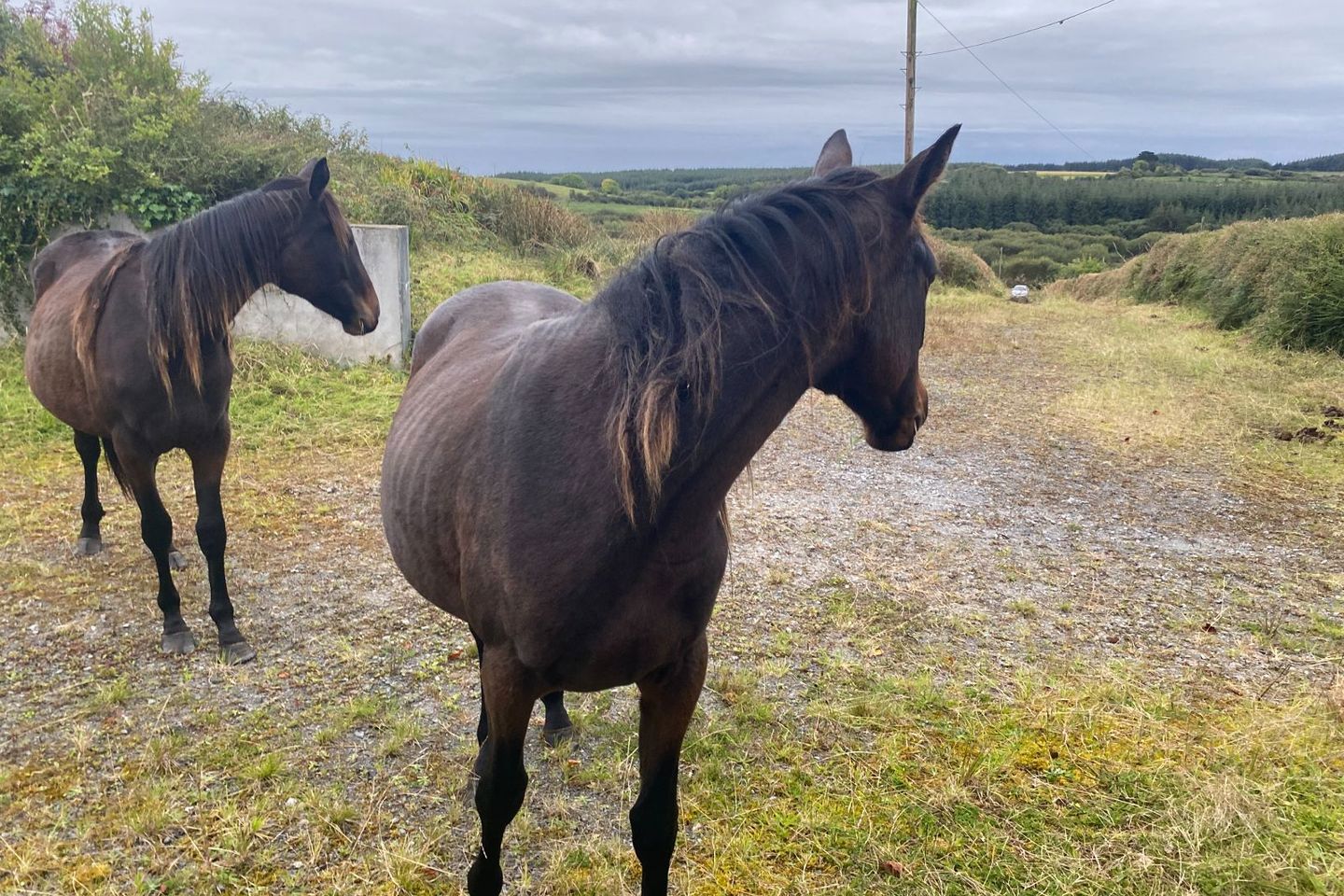 Knocknagraigue, Corofin, Ennis, Corofin, Co. Clare, V95CK70 16