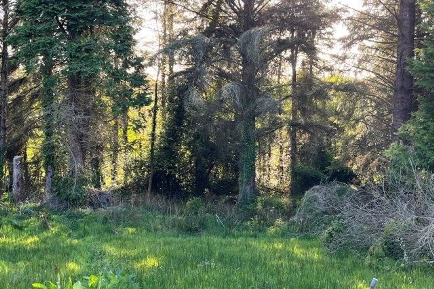 Conray, Rossinver, Kiltyclogher, Co. Leitrim, F91Y802 28