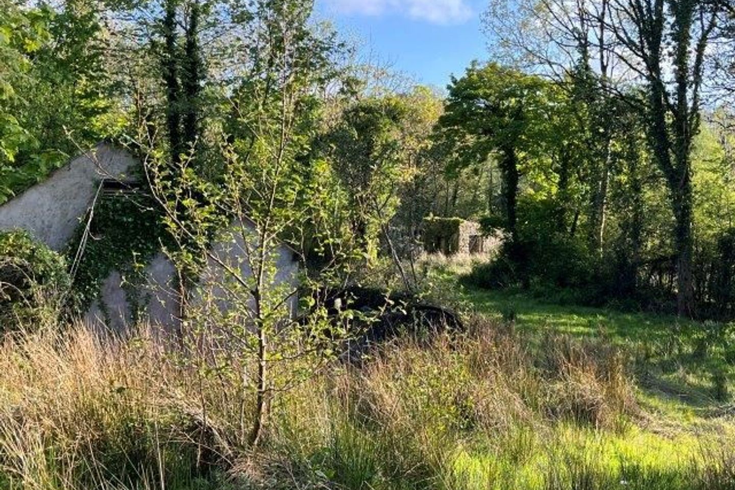 Conray, Rossinver, Kiltyclogher, Co. Leitrim, F91Y802 35